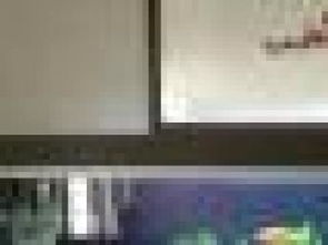 圖 森鑫淼水族服務(wù)公司,魚(yú)缸水族箱清洗 天津?qū)櫸锓?wù)