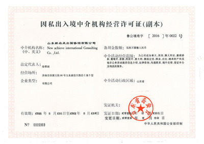 關于我們 專業(yè)因私出入境中介服務的領航者